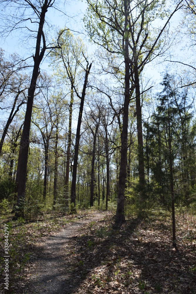 Obraz premium Bryan Park Trail 