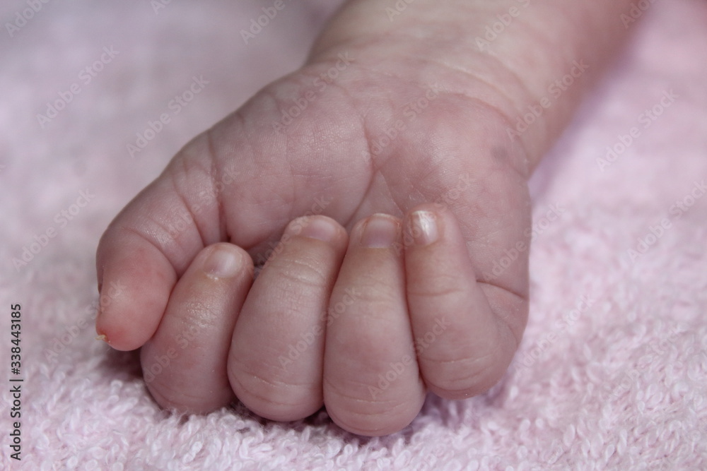 Newborn sleeping on pink blanket Newborn sleeping on pink blanket