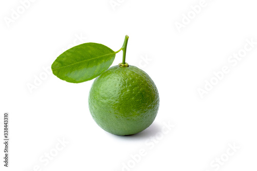 Green lemons and lemon leaves isolated on a white background with the clipping path.