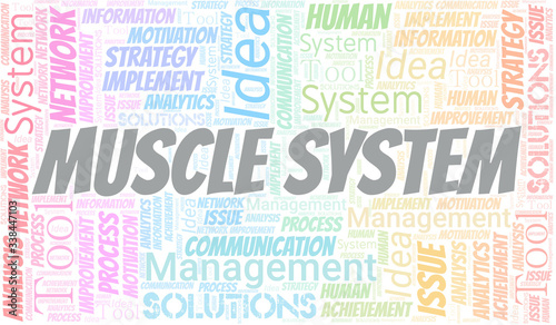 Muscle System typography vector word cloud.