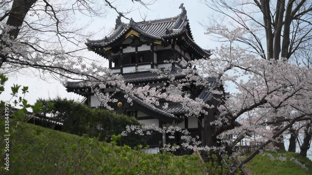 Joetsu Castle view during cherry blossom Joetsu Castle view during cherry blossom