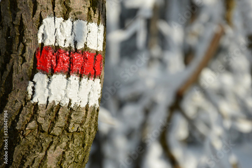 Winter trail sign on the tree. 