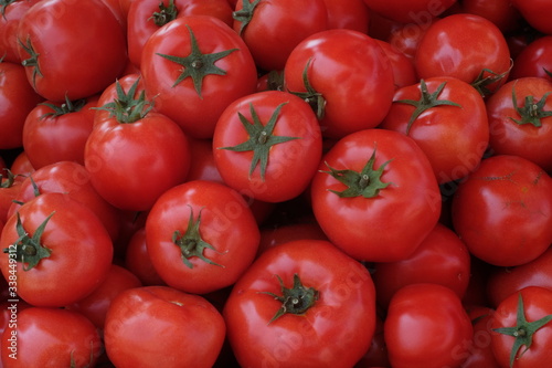 tomato, tomatoes, food, red, vegetable, fresh, healthy, organic, isolated, ripe, fruit, market, vegetables, diet, white, green, raw, salad, juicy, agriculture, vegetarian, freshness, natural, ingredie