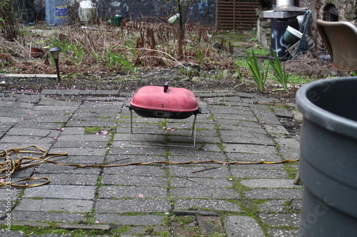 Obraz na płótnie backyard bbq w salonie