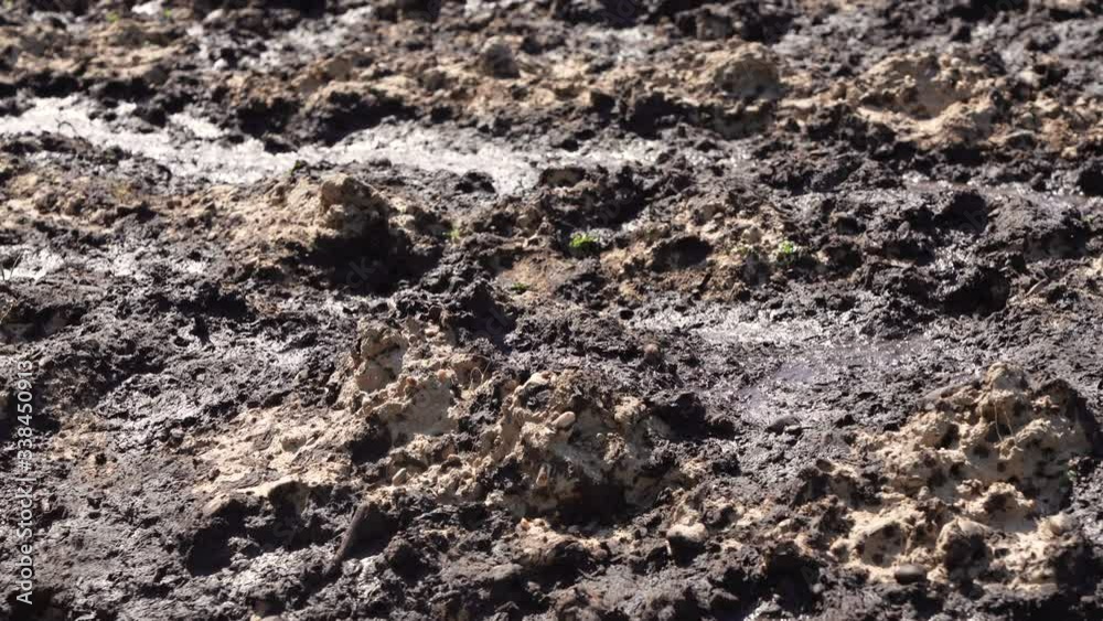 Nitrate pollution from the agriculture. Liquid manure on a field in germany Nitrate pollution from the agriculture. Liquid manure on a field in germany