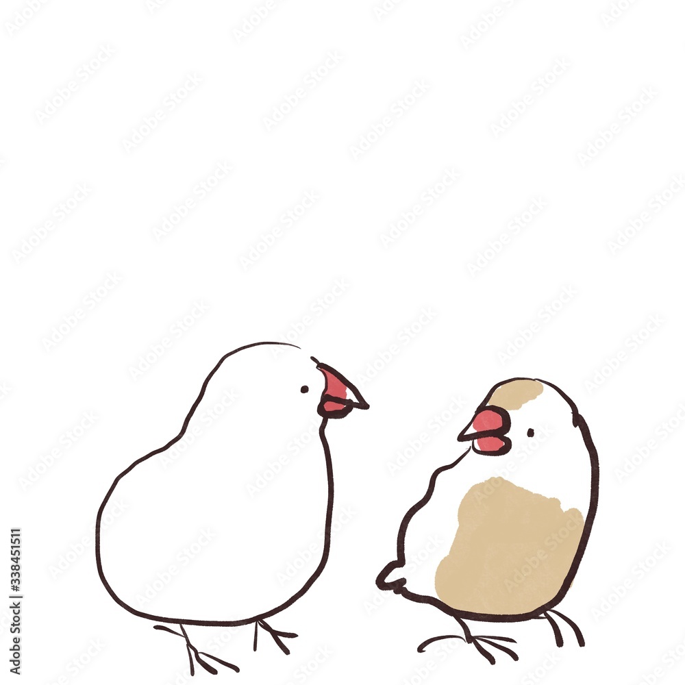 向き合う白文鳥とクリーム文鳥 セット
向き合う白文鳥とクリーム文鳥 セット