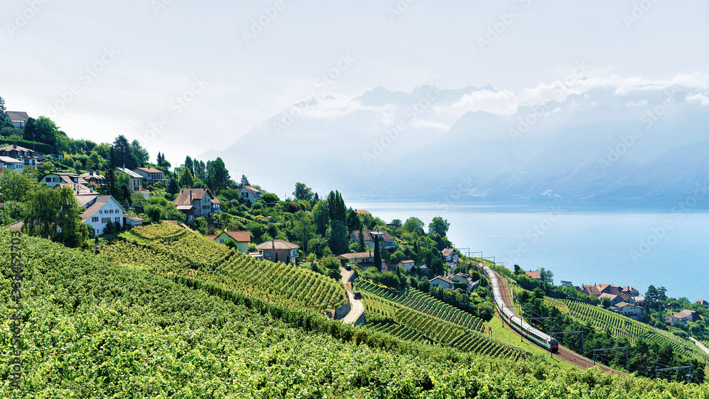 Lavaux Vineyard Terrace of Switzerland