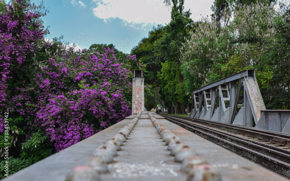 Perspective train rails bridge over a river at Serra da Mantiqueira, Minas Gerais with a bunch of purple flowers in background