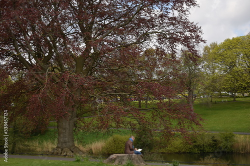 reading in the park