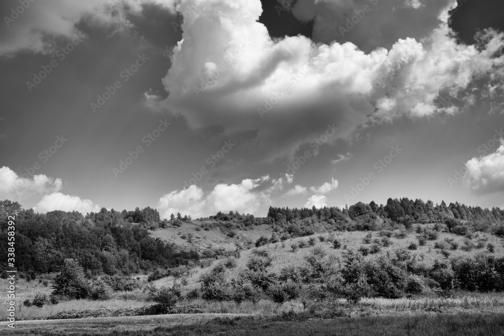 Łąka. Widok na tle pochmurnego nieba b&w