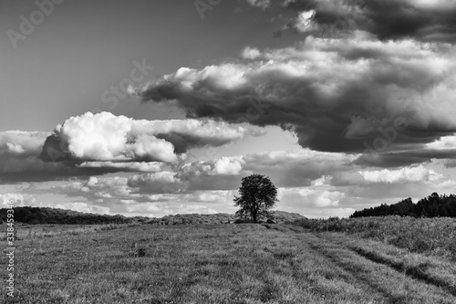 Obraz na płótnie Łąka. Widok na tle pochmurnego nieba b&w w salonie