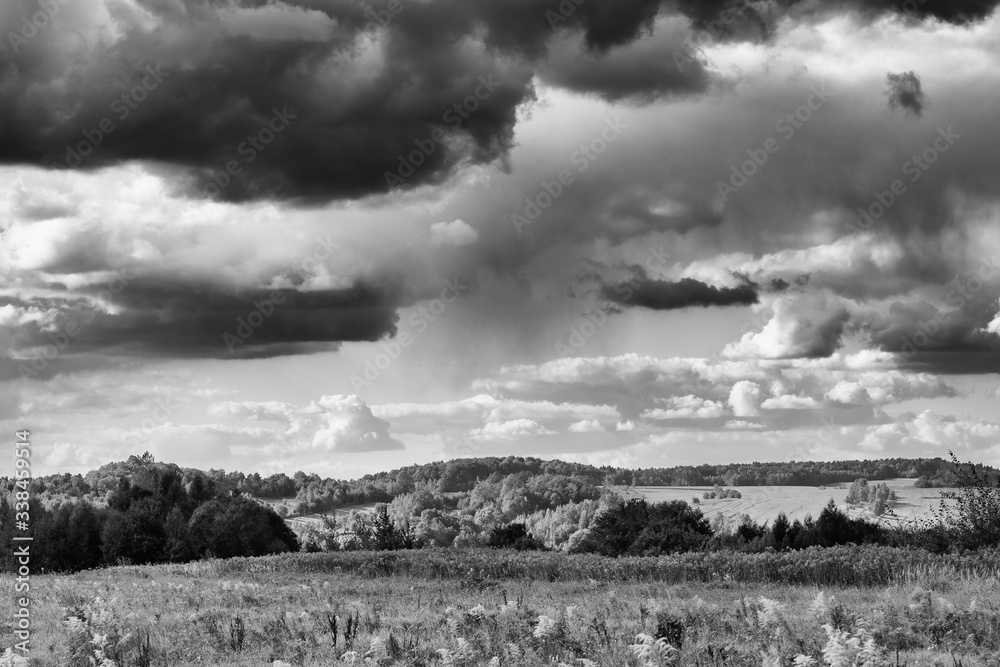 Łąka. Widok na tle pochmurnego nieba b&w