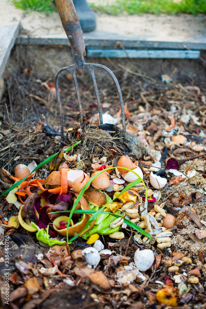 Compost pit for organic scraps, for fertilizing plants in the garden.. Compost pit for organic scraps, for fertilizing plants in the garden..
