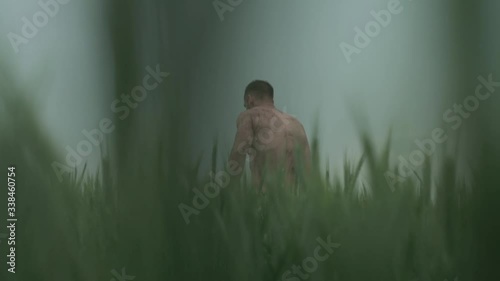 Survivor in the green field