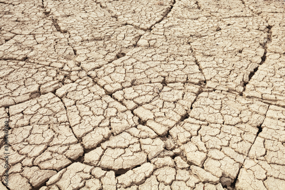 Cracks in the earth in rural areas. Ground texture background. Dry soil abstract photo. Mosaic pattern Cracks in the earth in rural areas. Ground texture background. Dry soil abstract photo. Mosaic pattern