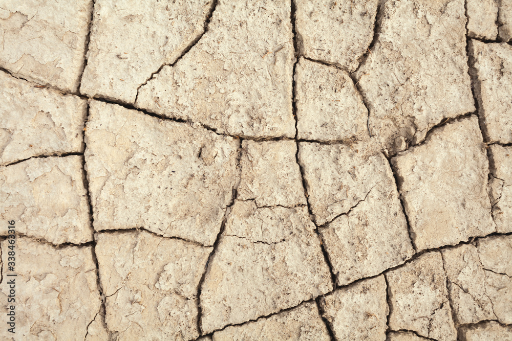 Fototapeta premium Cracks in the earth in rural areas. Ground texture background. Dry soil abstract photo. Mosaic pattern
