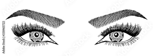 Illustration with woman's eyes, eyelashes and eyebrows. Realistic sexy makeup look. Tattoo design. Logo for brow bar or lash salon.