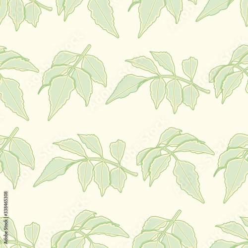 Serrated leaf branch seamless vector pattern. Green and yellow toothed foliage illustration background. 