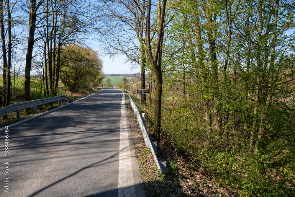 road with winding and passing trees in spring, czech