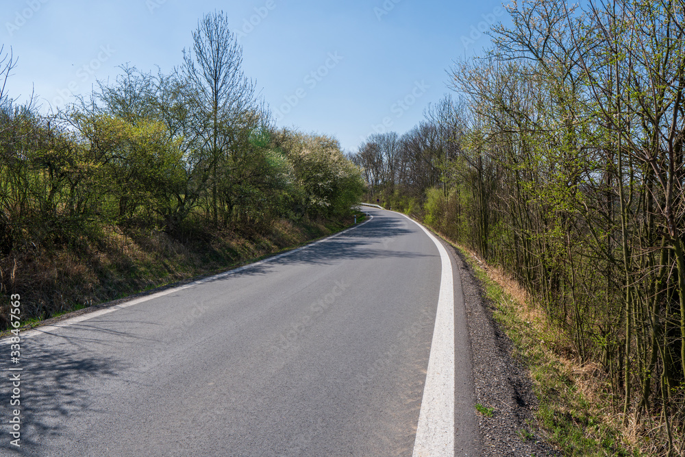road with winding and passing trees in spring, czech road with winding and passing trees in spring, czech