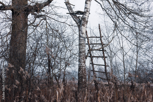 Fototapeta Naklejka Na Ścianę i Meble -  prowizoryczna ambona strzelnicza do zwierzat