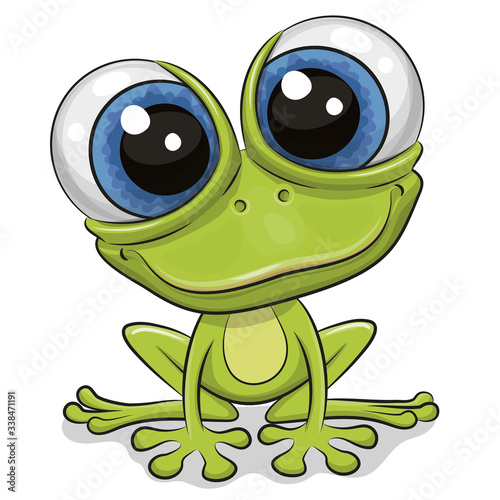 Cartoon Frog isolated on a white background