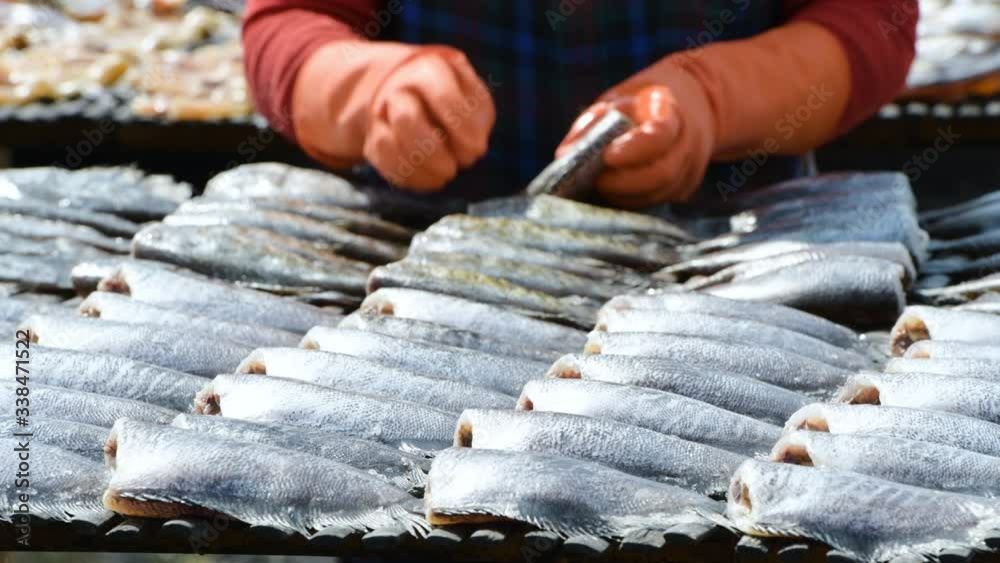 Fisherman Preparation for gourami Fish that are dried in solar fish
