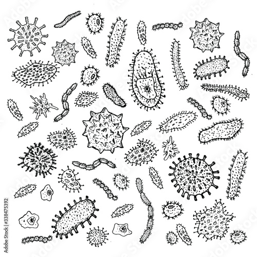 hand drawn vector illustration of virus