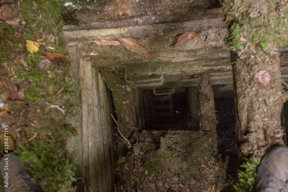 Old abandoned mine with wooden timbering in forest