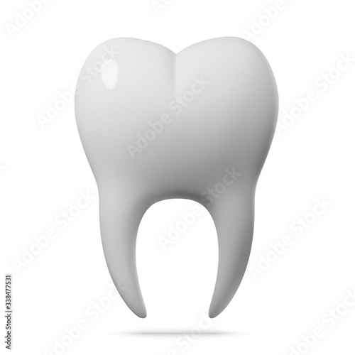Realistic Vector Human Tooth, Close-Up, Front View
