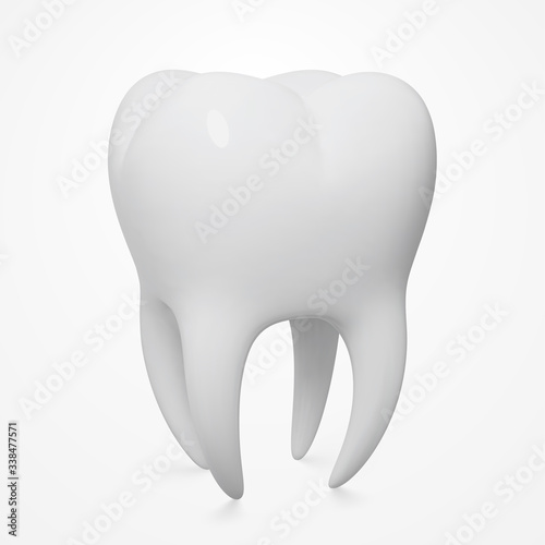 Realistic Vector Human Tooth, Close-Up, Three-Quarter Front Angle View