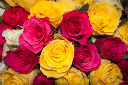 Background of a bouquet of bright roses  top view.