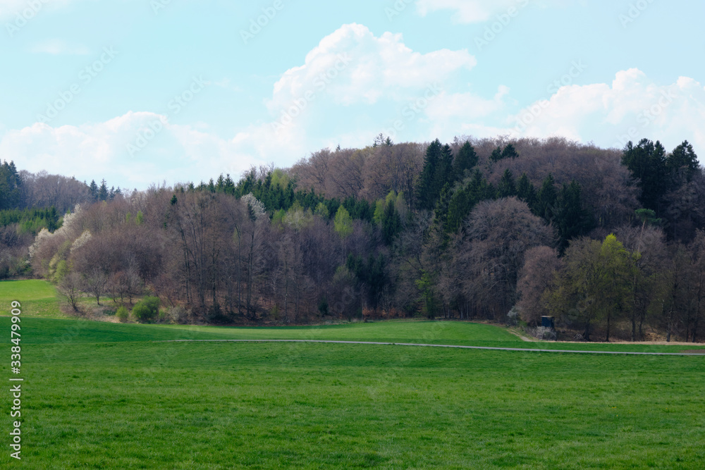 Bayrischer Wald kurz vor dem Frühlingserwachen