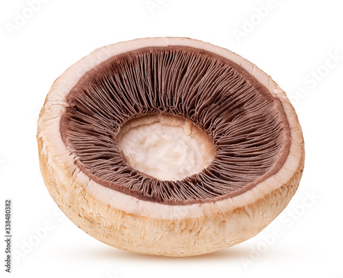 Mushroom champignon caps
