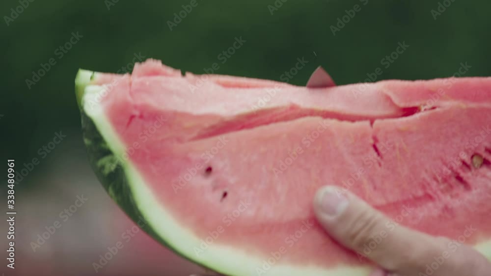 Close-up of a farmer cutting up a slice of ripe red watermelon and handing it out to child. Family lunch outdoors. Slow motion. Close-up of a farmer cutting up a slice of ripe red watermelon and handing it out to child. Family lunch outdoors. Slow motion.