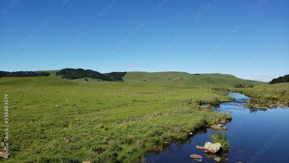 potreiro, campos de cima da serra, gramado