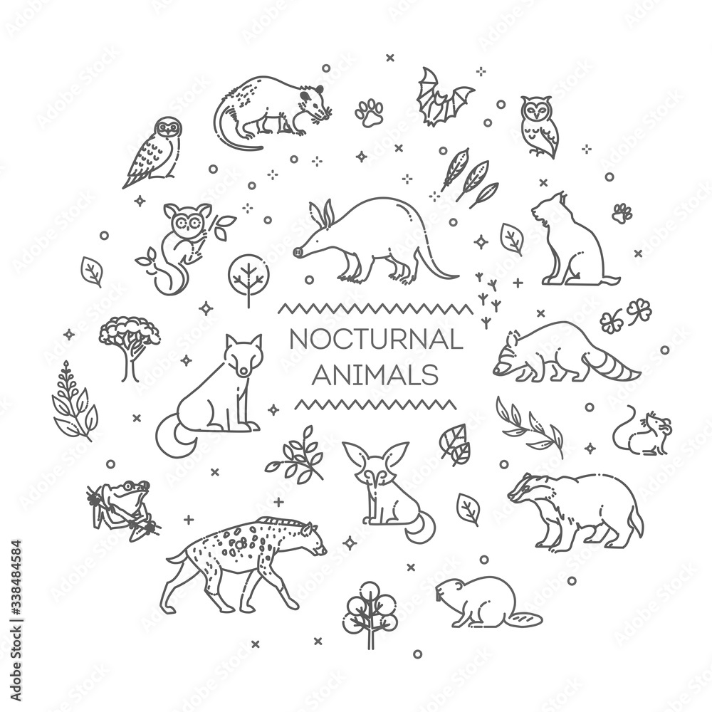 Vector. Set of linear vector nocturnal animals
