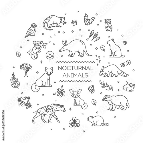 Fototapeta Naklejka Na Ścianę i Meble -  Vector. Set of linear vector nocturnal animals