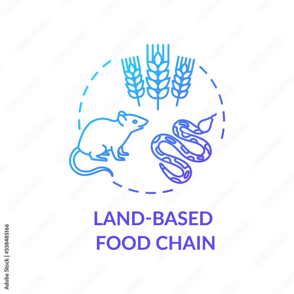 Land based food chain concept icon. Energy producer and consumers ...