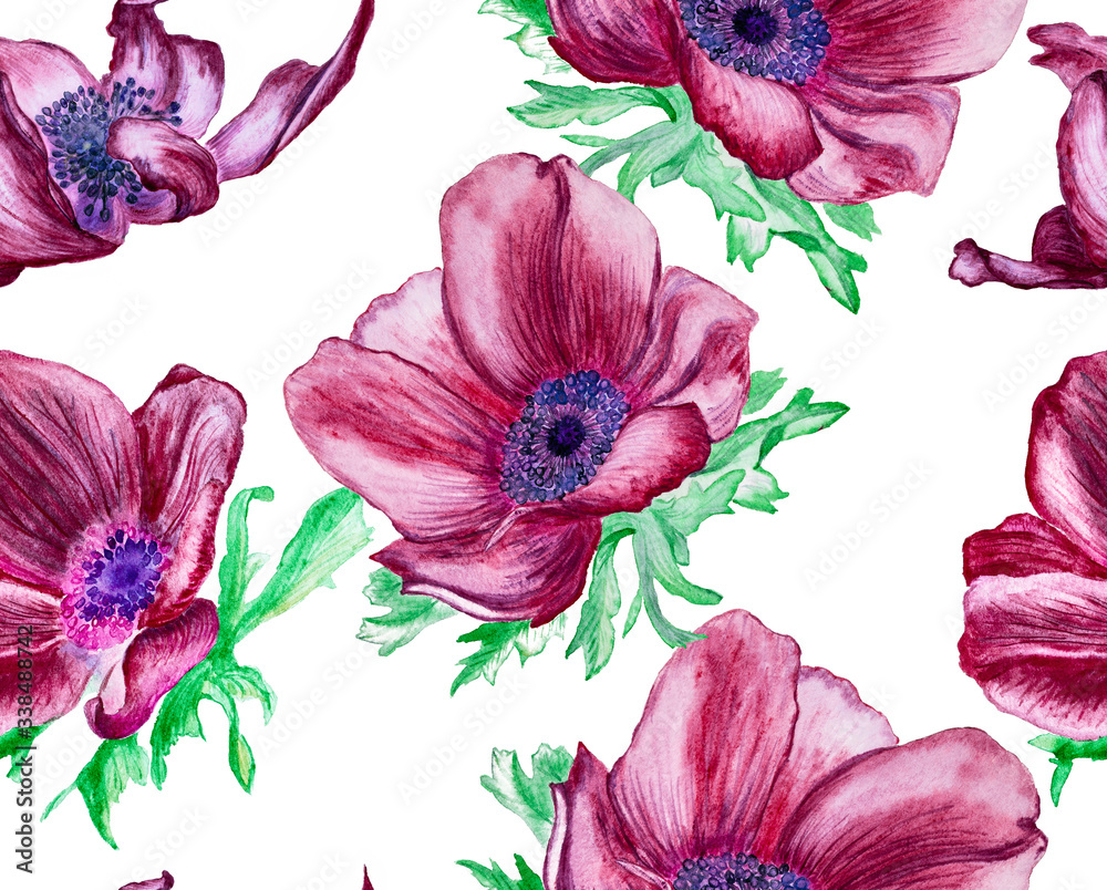Obraz watercolor painting of anemone flower