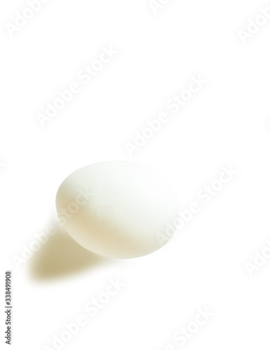 White chicken egg isolated on a white background.