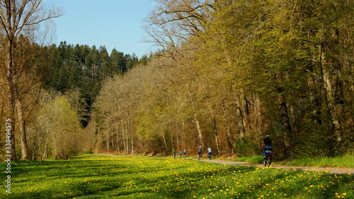 herrlicher Radweg durchs Nagoldtal entlang Wiesen und Wald im Frühling