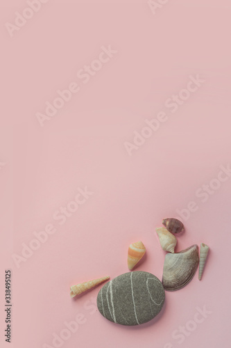 pink background with shells and stones from the beach, a banner for advertising the rest