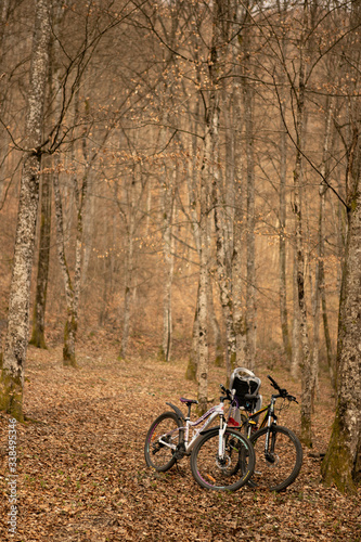 Two empty bicycles near the tree in an empty forest early in the spring