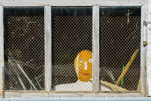 a stylized human face looks out of a window covered by a wire mesh photo