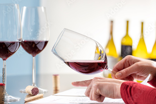 Enologist evaluating density of red wine at table.