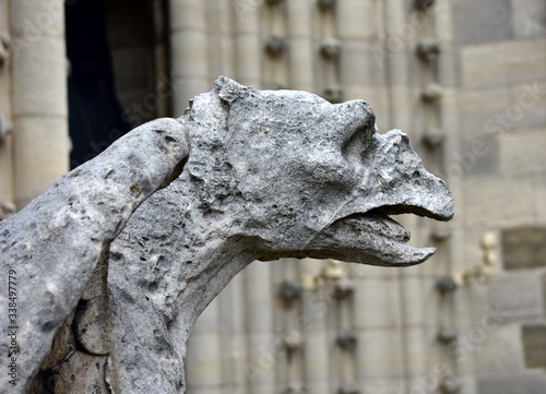 Gargoyles or Chimeras at the Gallery of Chimere. Notre-Dame Cathedral. Paris, France.