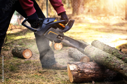 Obraz na plátně felling trees in the forest with a chainsaw
