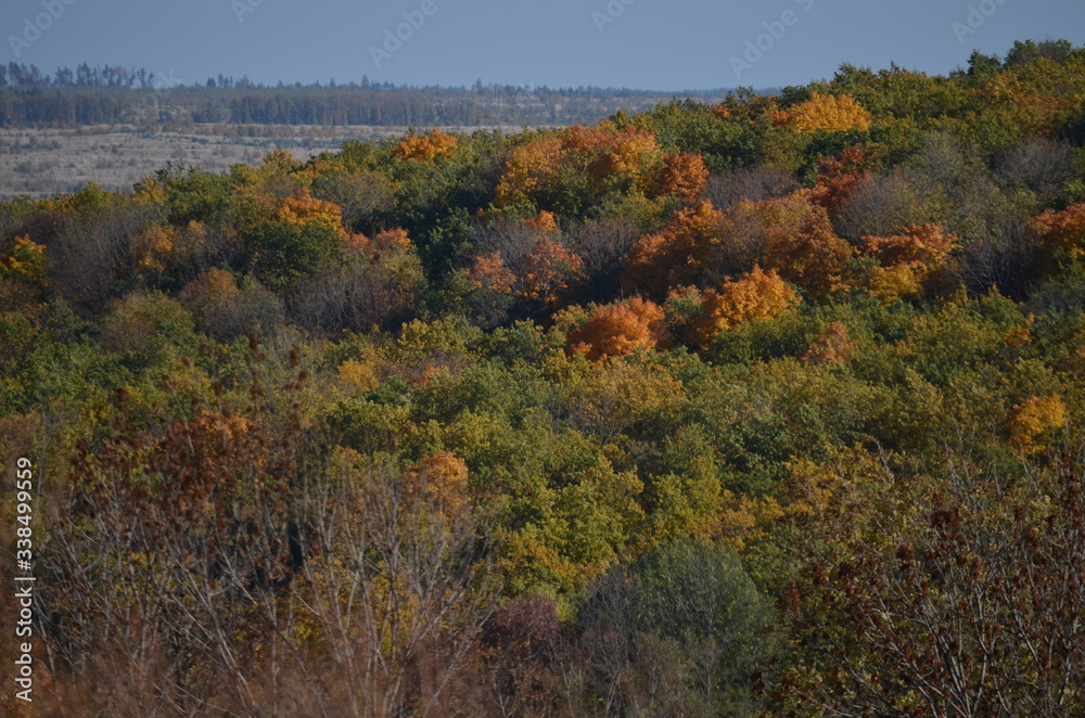 autumn in the mountains