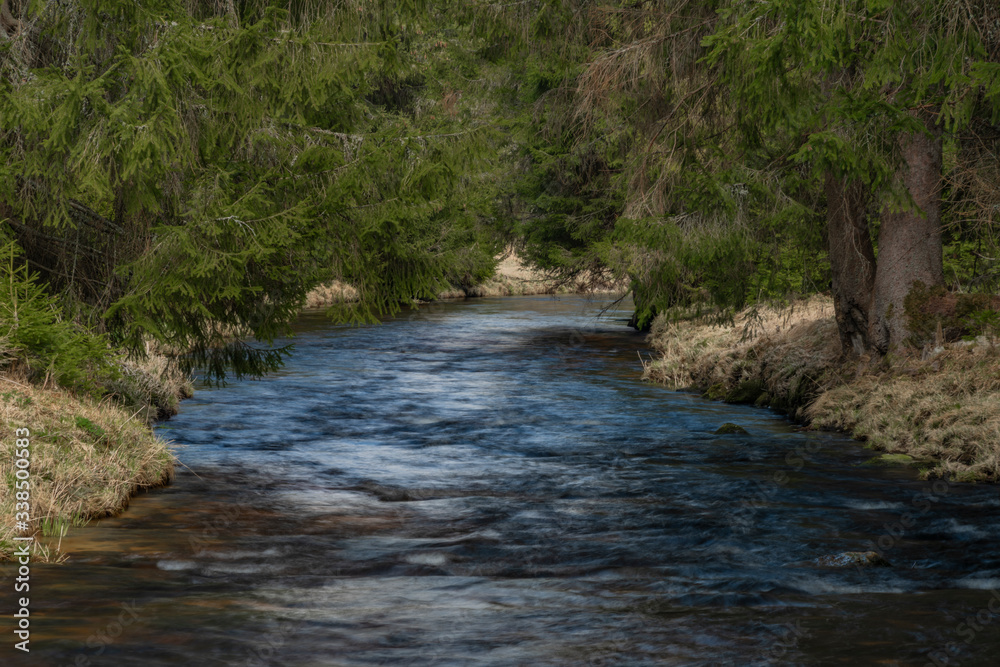 Studena Vltava river in national park Sumava in sunny spring day Studena Vltava river in national park Sumava in sunny spring day